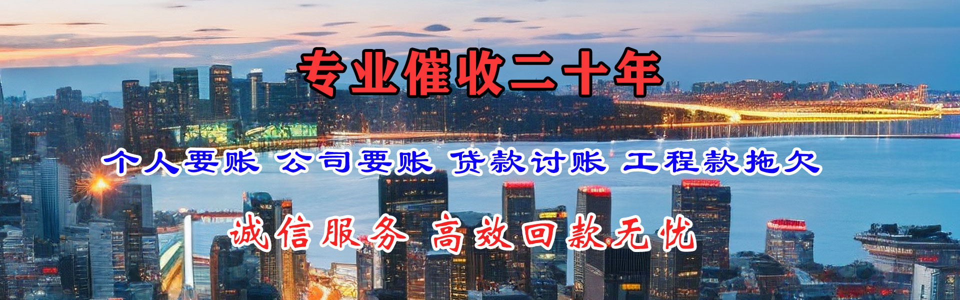 庐阳追账公司
